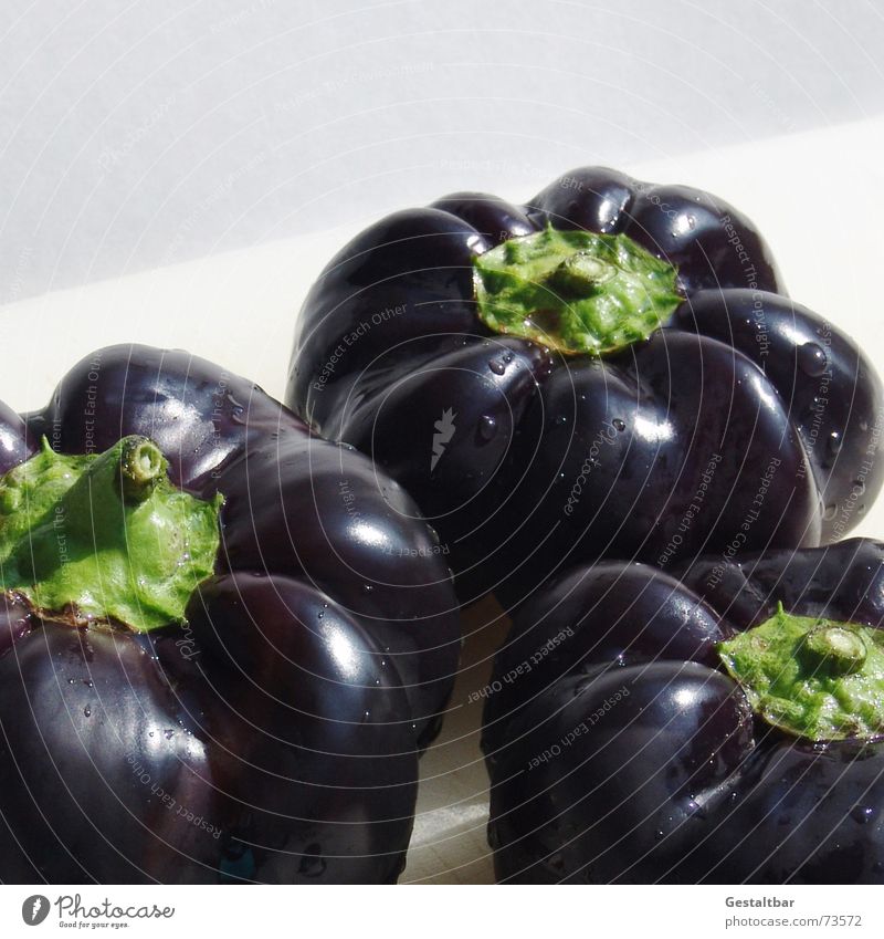 Nachtschattengewächs 2 Paprika Ernährung Gesundheit Vitamin frisch lecker schwarz violett gestaltbar Gemüse Lebensmittel