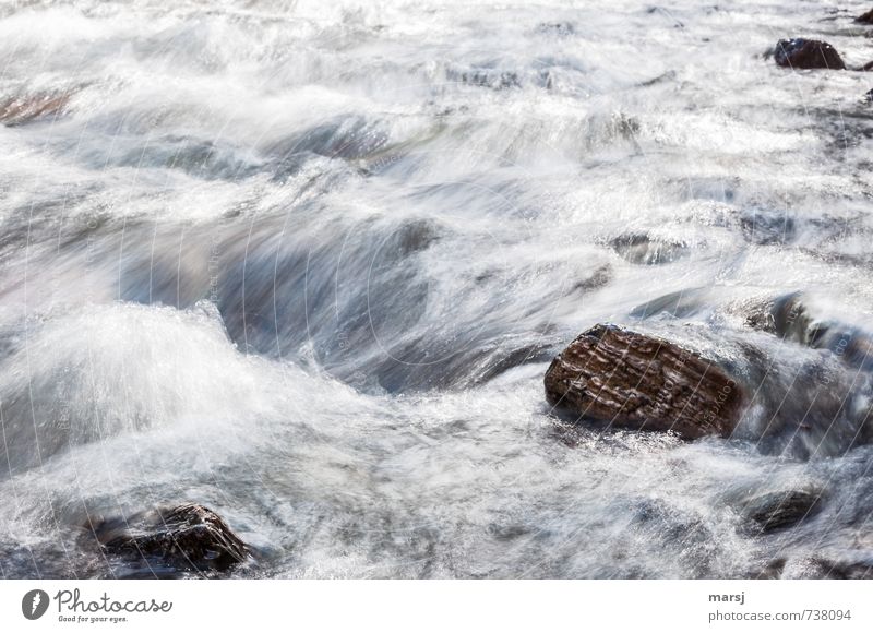 fließend Ausflug Wellen Wassersport Natur Frühling Sommer Herbst Flussufer Bach Stein rennen Bewegung authentisch Flüssigkeit nass natürlich Energie
