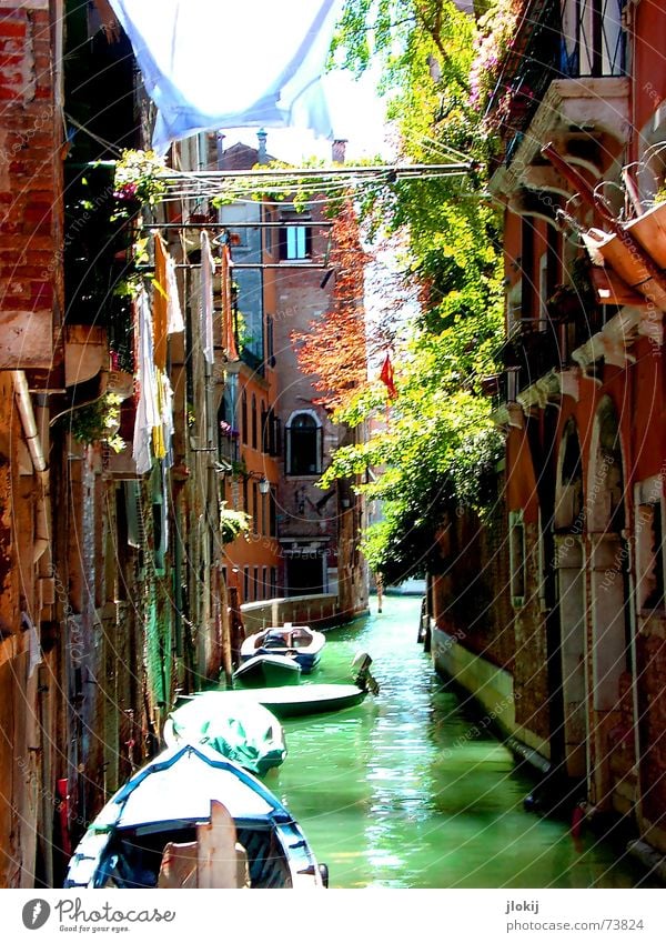 canale_2 Venedig Italien Europa Wasserfahrzeug Sonnenlicht grün Mauer Haus Wasserstraße Hemd Spaziergang träumen Ferien & Urlaub & Reisen Stadt fahren Tourist