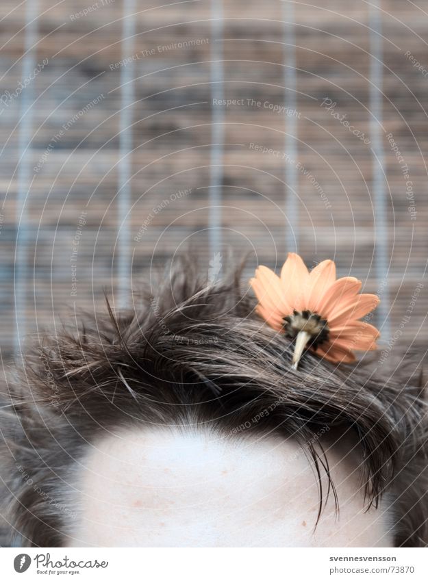 Stirnblume im Haupthaar Biotop Blume Pflanze Kopf Haare & Frisuren Freakshow