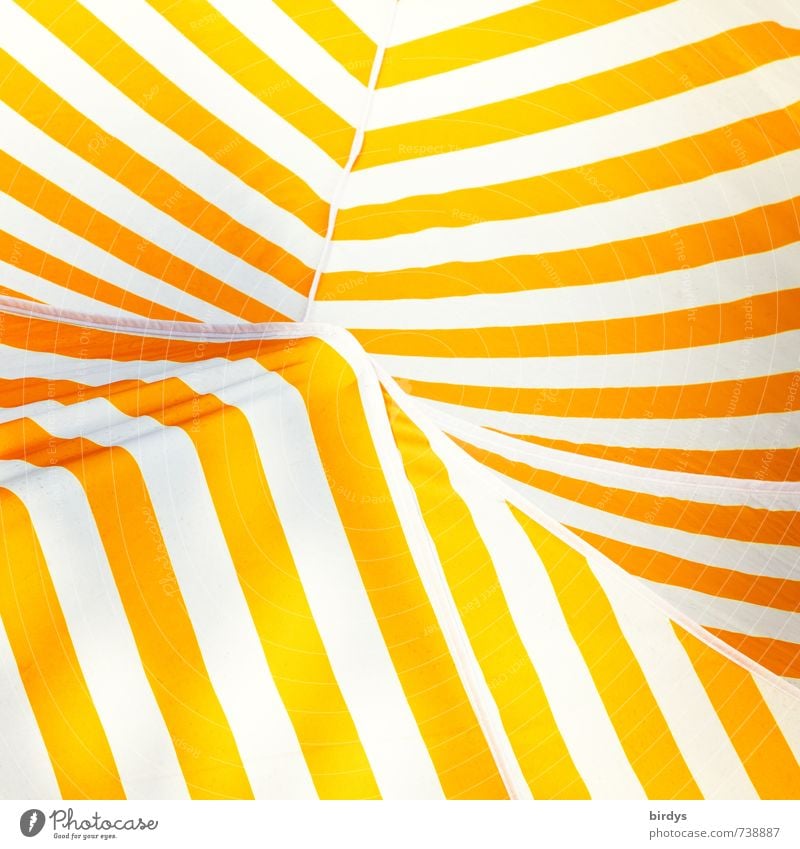 sunny stripes Markise Zelthimmel Linie Streifen leuchten ästhetisch positiv Wärme gelb orange weiß Design Farbe abstrakt Farbfoto Außenaufnahme