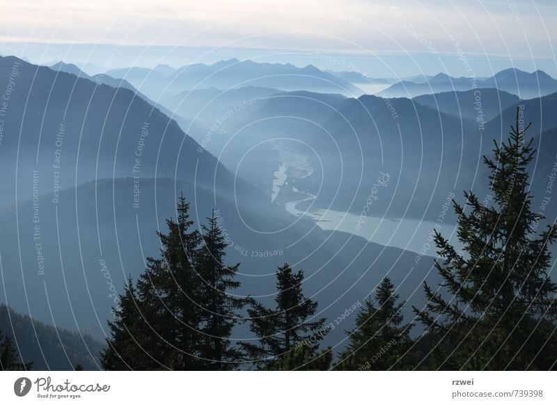 Blick auf Isar und Sylvensteinspeicher Freiheit Berge u. Gebirge wandern Landschaft Sommer Nebel Baum Alpen Karwendelgebirge See Sylvensteinsee Fluss