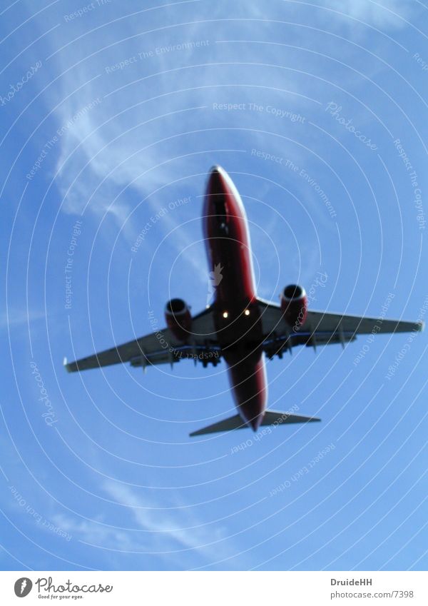 Abgehoben Flugzeug Wolken Luftverkehr Himmel Ferien & Urlaub & Reisen Flugzeuglandung Beginn Flughafen