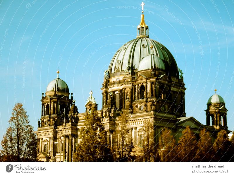 Berliner Dom Deutscher Dom Religion & Glaube Gotteshäuser Berlin-Mitte Baum Kuppeldach gutes wetter grünes dach Himmel Rücken Architektur