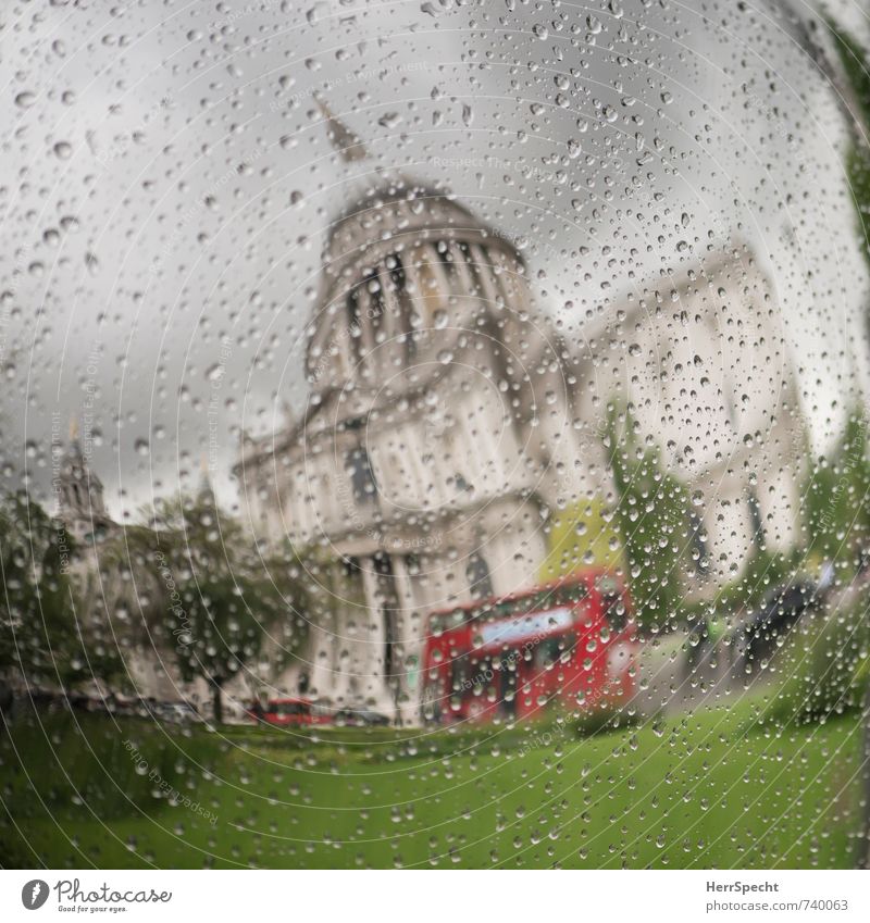 Frühling in London Himmel Wolken Gewitterwolken schlechtes Wetter Regen Pflanze Baum Gras Park England Hauptstadt Stadtzentrum Altstadt Sehenswürdigkeit