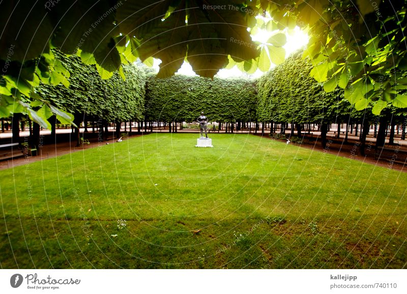 nackt im park Mensch 1 Kunst Kunstwerk Skulptur Baum Garten Park Wiese grün Paris Gartenbau Rechteck ruhig Frankreich Blatt Farbfoto Außenaufnahme Licht
