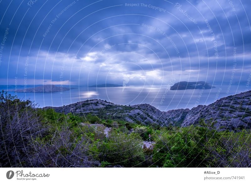 Blauer Horizont Natur Landschaft Urelemente Wasser Himmel Wolken Gewitterwolken schlechtes Wetter Sträucher Felsen Küste Meer Adria Insel Kroatien Europa