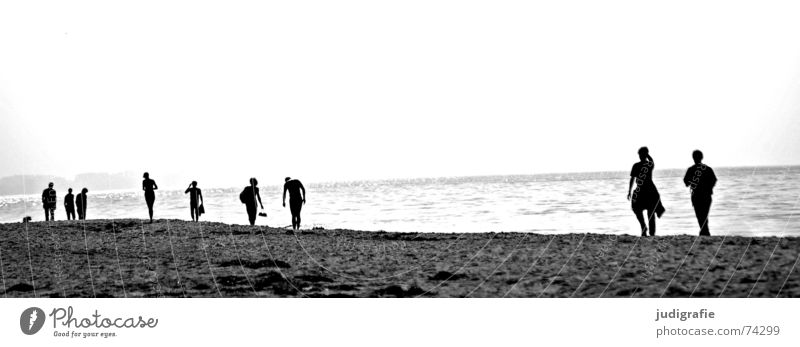 Am Strand See Meer Spaziergang gehen wandern Licht Gegenlicht Küste schwarz ein hund Ostsee Mensch mehrere Paar laufen Wasser Silhouette paarweise