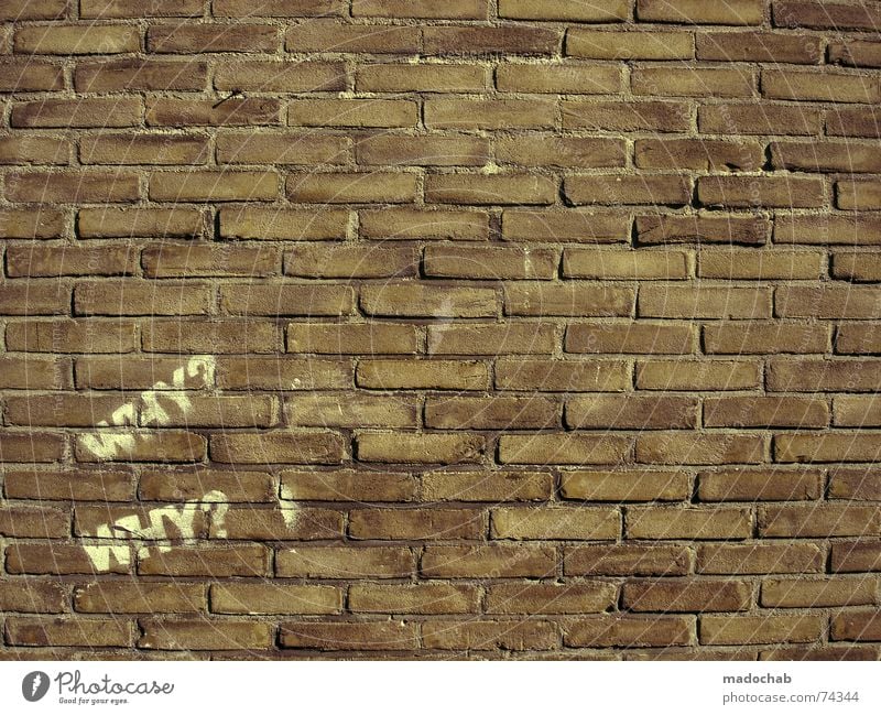 Backsteinwand mit Graffitti Schriftzug und viel Textfreiraum mit einem Fragezeichen Wand Mauer sprühen Bombe Schablone Spray Wort warum Typographie rot Stadt