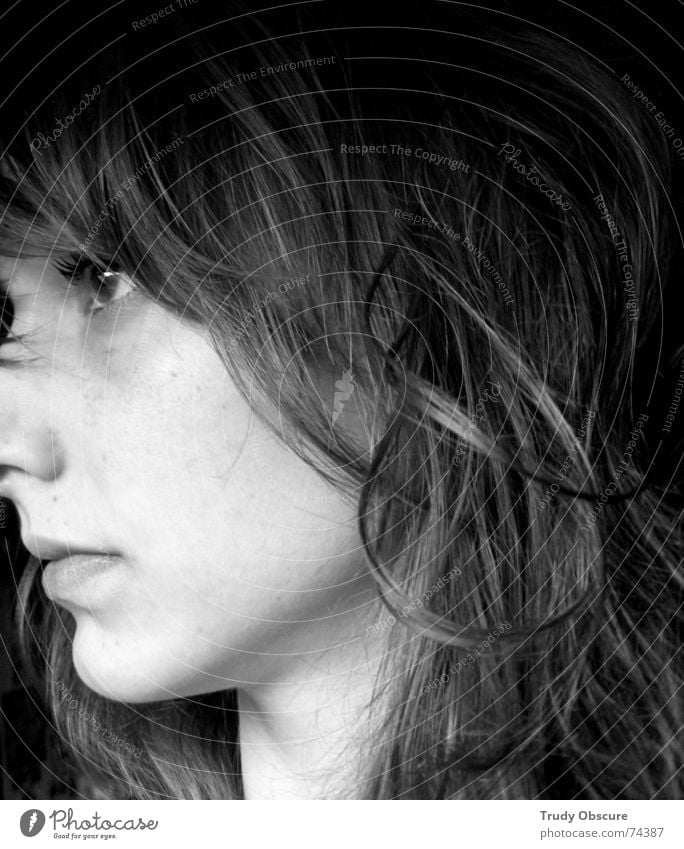 darkside lightside Frau feminin Seite Porträt Mensch von der seite Haare & Frisuren Auge