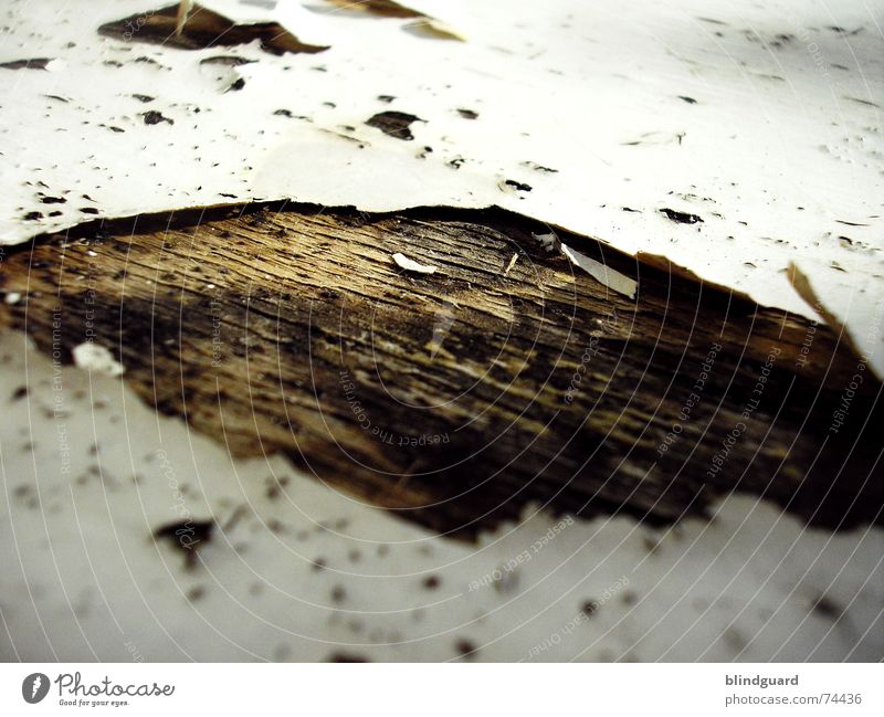 Out Of Lack [..] trocken porös Holz Holzmehl abblättern Vergänglichkeit labil Loch aufgebrochen Verfall sitzfläche Stuhl morbide alt am löchesten abgebrochen