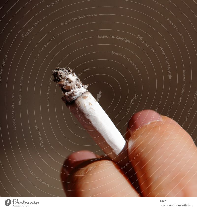 zum Abgewöhnen Nagellack Gesundheit Krankheit Rauchen Rauschmittel Erholung feminin Junge Frau Jugendliche Hand Finger festhalten Coolness braun Stress