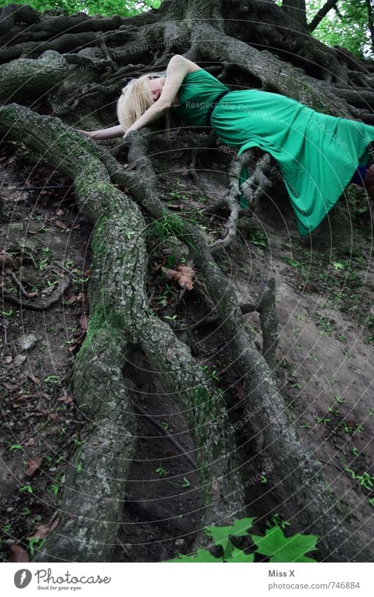 Elfe Mensch feminin Junge Frau Jugendliche 1 18-30 Jahre Erwachsene Umwelt Natur Erde Baum Wald Urwald Kleid blond Gefühle Stimmung Traurigkeit Tod Müdigkeit