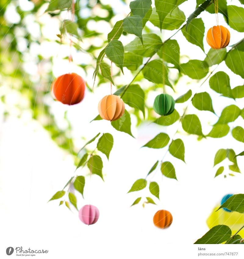 windspiel Garten Feste & Feiern Natur Pflanze Blatt Grünpflanze lustig gelb grün orange rosa rot Idee einzigartig Dekoration & Verzierung Windspiel Papier