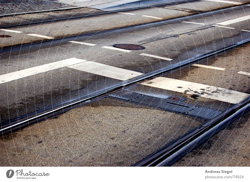 Und Stop! Fußgängerübergang Straßenbahn Öffentlicher Personennahverkehr Fahrkarte Linie Gleise Gully nass Pfütze grau Asphalt Verkehr Verspätung Dresden