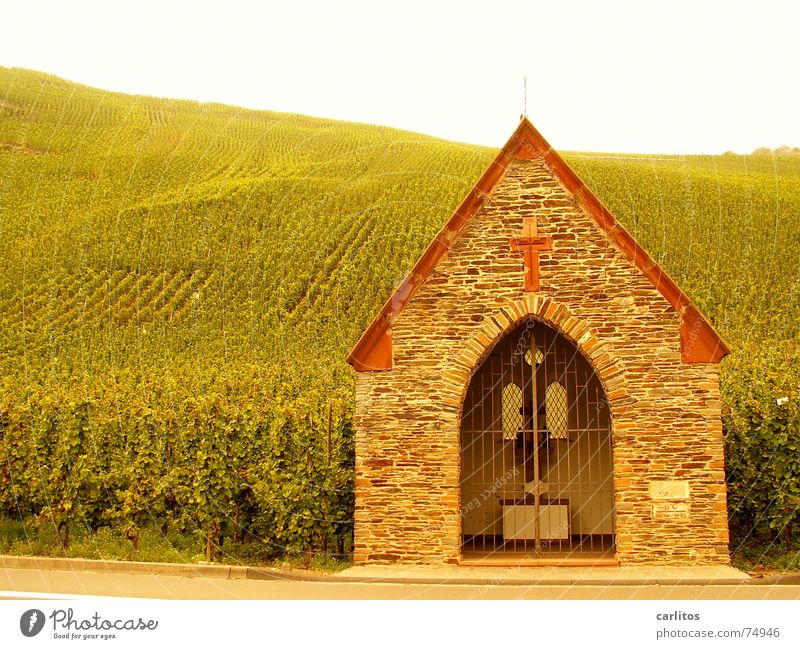 ..der Geist des Weines Mosel (Weinbaugebiet) Glaube Katholizismus Weinberg aufgereiht geist des weines geordnet