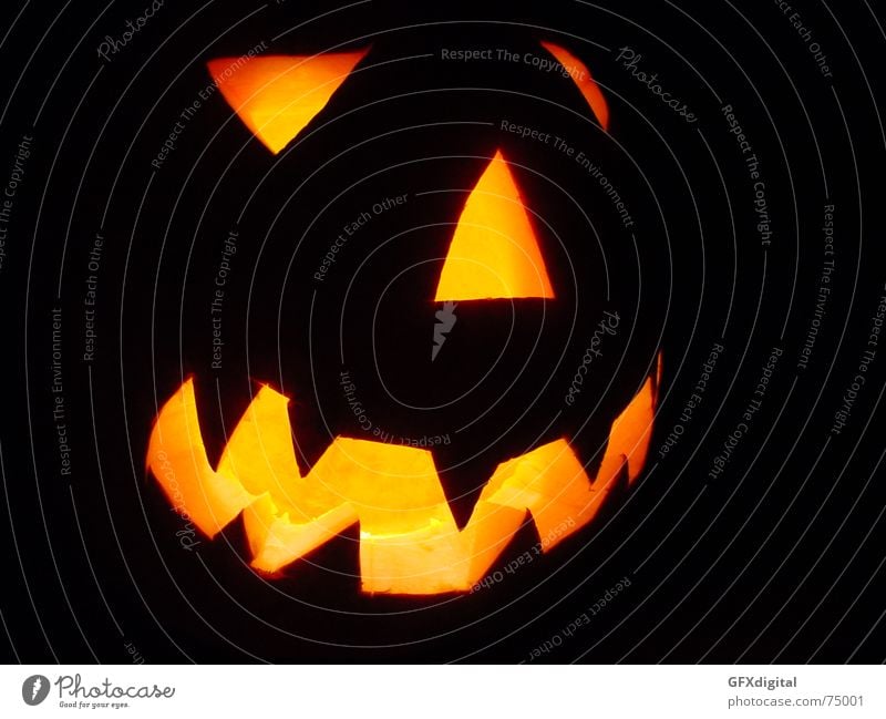 Halloween Gesicht erschrecken dunkel haloween Kürbis nightmare gruseln