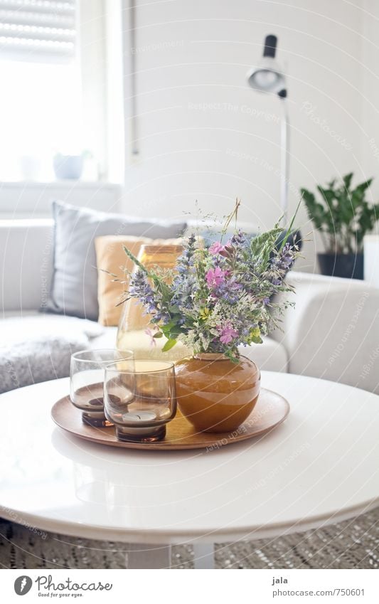 couchtisch Häusliches Leben Wohnung Innenarchitektur Dekoration & Verzierung Möbel Lampe Sofa Tisch Wohnzimmer Pflanze Blume Vase Glas Kissen ästhetisch