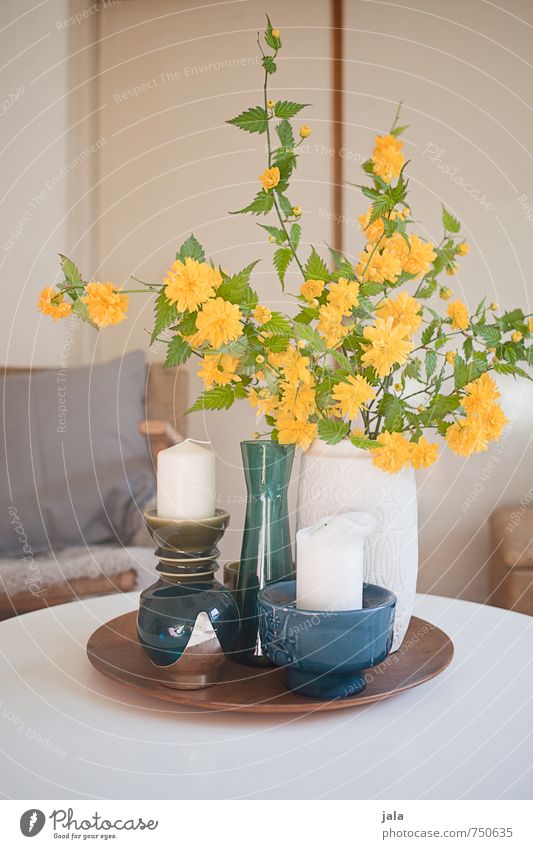 ranunkelstrauch Häusliches Leben Wohnung Innenarchitektur Dekoration & Verzierung Sessel Tisch Pflanze Blume Blatt Blüte Ranunkel Vase Kerzenständer ästhetisch