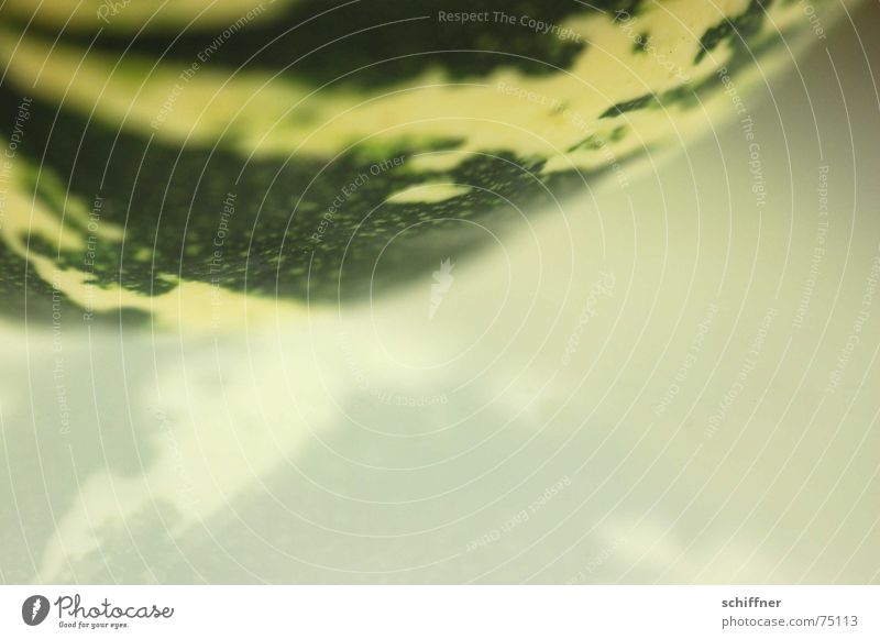 Kürbis 5 Herbst Reflexion & Spiegelung grün gestreift Streifen Hintergrundbild Strukturen & Formen