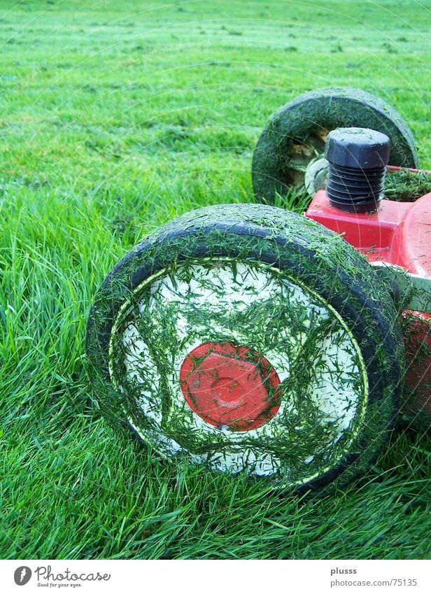 abgrasen Rasenmäher Gras Wiese grün rot Arbeit & Erwerbstätigkeit intensiv Halm fahren Fußballplatz saftig satt nass Ergebnis Reifen Motor geschnitten zupfen