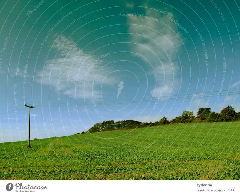 green field Feld Wolken Oberleitung Landwirtschaft gedeihen grün Hügel Stimmung Sommer Himmel Natur Landschaft Ackerbau Ernte Ferne Ausflug