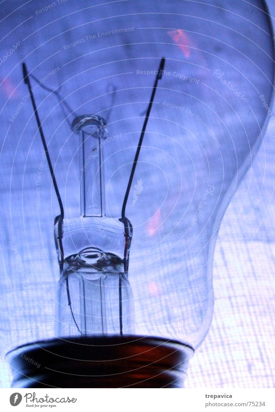 gluehbirne I Licht Lampe violett Elektrizität durchsichtig Tesla Makroaufnahme rosa hell gluechlampe Beleuchtung blau Glas Detailaufnahme reflektion shine