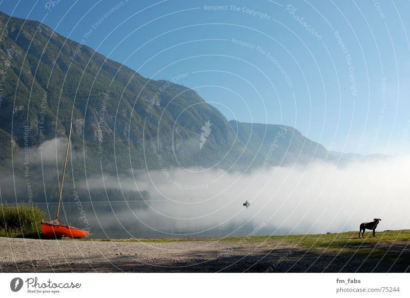 aalglatt See Wasserfahrzeug Spiegel Hund Nebel Wolken Angler Slowenien blau lake Glätte dog boat fog fisher jezero