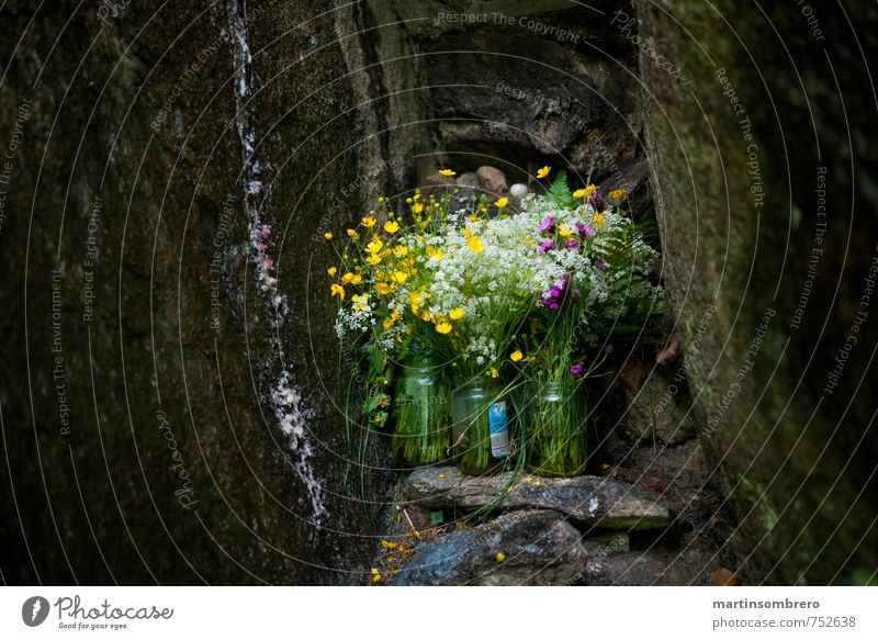 Heilige Grotte Frühling Blume Felsen Blumenstrauß Traurigkeit Trauer Religion & Glaube Farbfoto Außenaufnahme Menschenleer Textfreiraum links