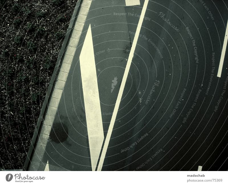 DESIGNED TRAFFIC Asphalt abbiegen Verkehr links Blume Natur grau unten Fußgänger trist Muster Hintergrundbild Strukturen & Formen Quadrat graphisch weiß mono