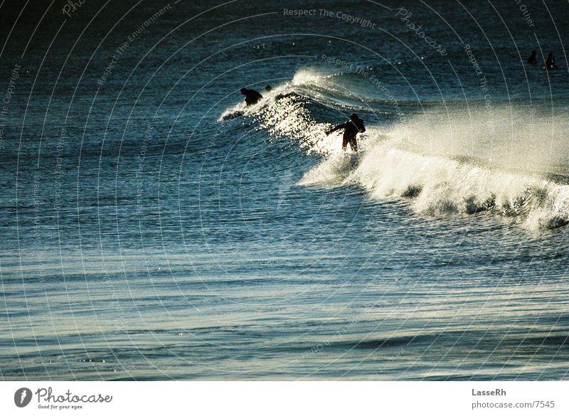 Surfing the sunset Surfen Wellen Meer Australien Byron Sport Wasser