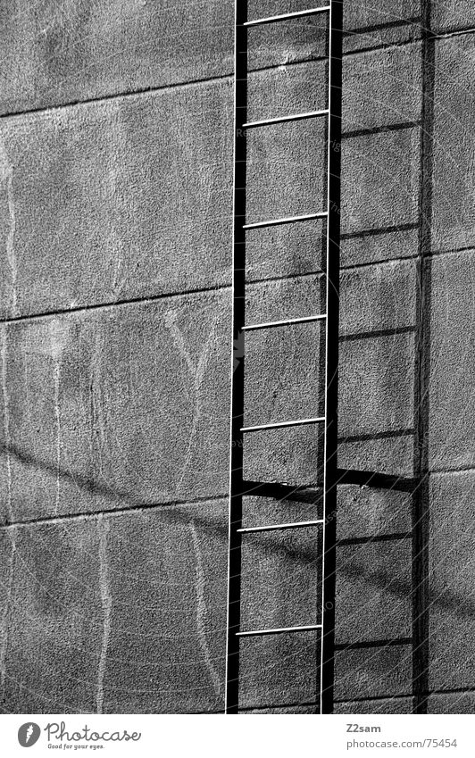 fire stairs sw Feuerleiter Wand unten steigen Muster streben Treppe Leiter Schwarzweißfoto Schatten oben Linie Metall steigen gehen Klettern