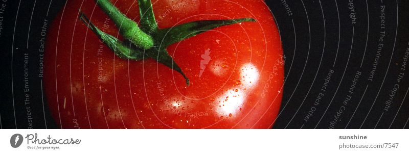 Tomate rot Ernährung Gemüse