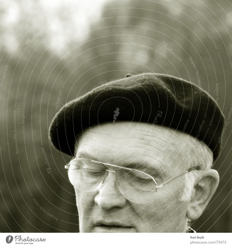 Grandfather Großvater Mann Baseballmütze Brille geschlossen weiß Ausfall grau Baum Gesichtsausdruck Konzentration alt kappe Anstreicher streichen Leben Blick
