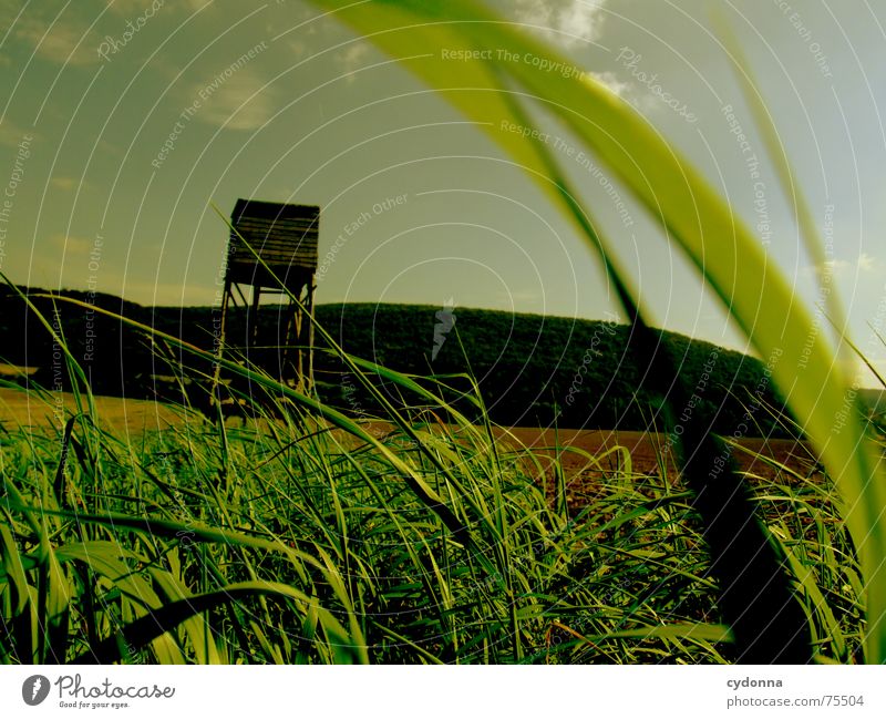 Auf zur Jagd! Hochsitz Feld Gras Landwirtschaft Stimmung Vogelperspektive grün Sommer Ackerbau Berge u. Gebirge Landschaft Himmel Perspektive Wind wehen Erde