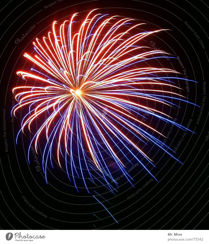 Light is in the air... Freude Glück Feste & Feiern Silvester u. Neujahr Jahrmarkt Himmel Nachthimmel glänzend Farbe Lebensfreude Explosion Feuerwerk leuchten