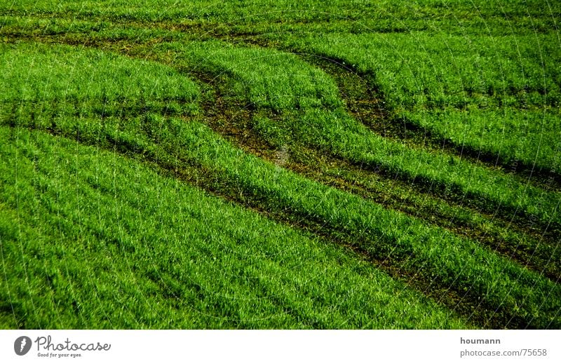 Tractose 1 Physik Muster grün Gras Feld tractor field shadows Wärme Schatten Spuren Traktorspur