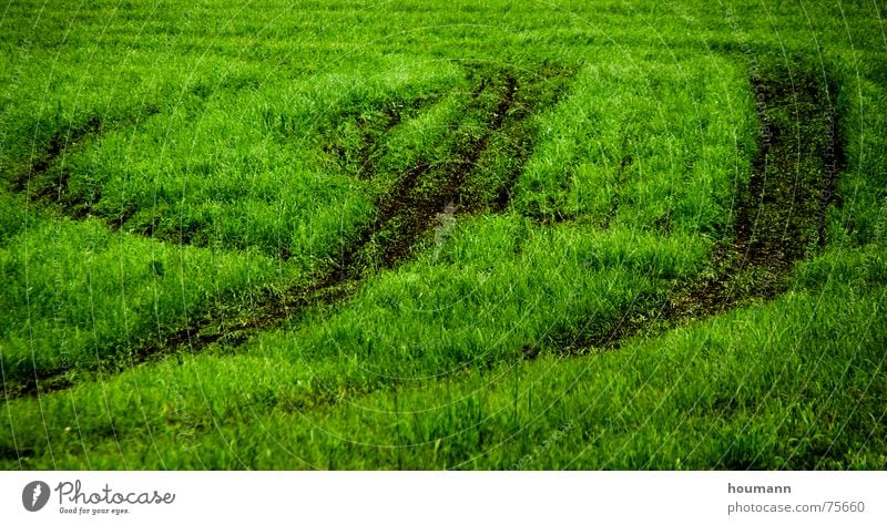Tractose 2 Physik Muster grün Gras Feld tractor tracks field shadows Wärme Schatten Spuren Traktorspur