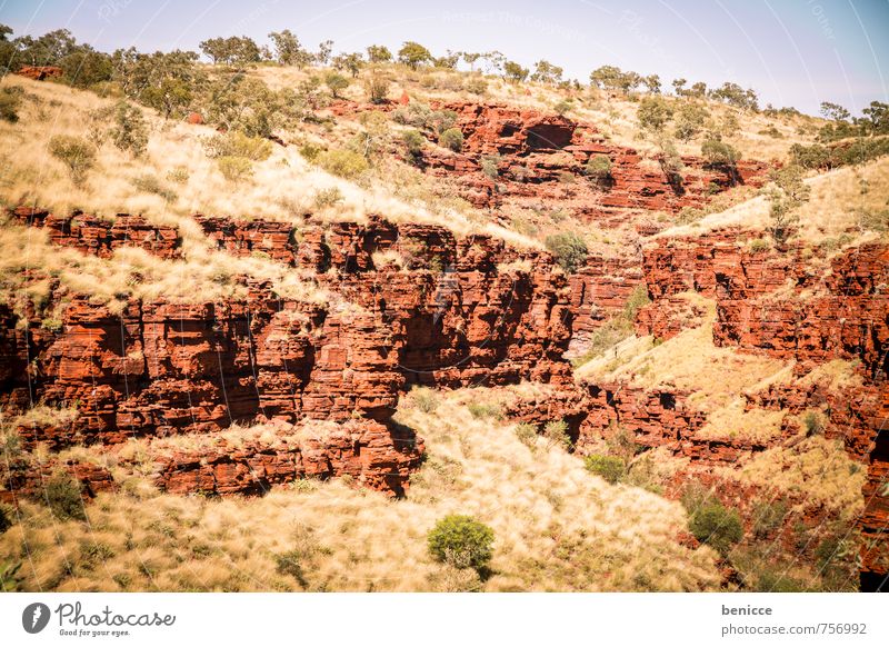 Bush Australien Landschaft Außenaufnahme Baum Sträucher rot Erde Tag Menschenleer Natur Länder Tier Himmel Berge u. Gebirge Schlucht
