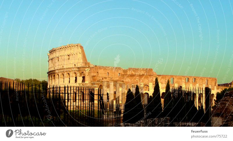 ewig! Rom Italien Bauwerk Ruine Denkmal Tourist Sehenswürdigkeit Kunstwerk schön colluseum alt Gladiator forum romanica Himmel Kontrast