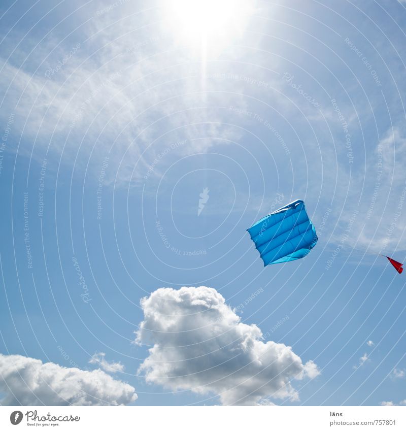über allem schweben Freizeit & Hobby Drachenfliegen Ferien & Urlaub & Reisen Tourismus Freiheit Strand Himmel Wind festhalten nachhaltig blau Wunsch Lenkdrachen