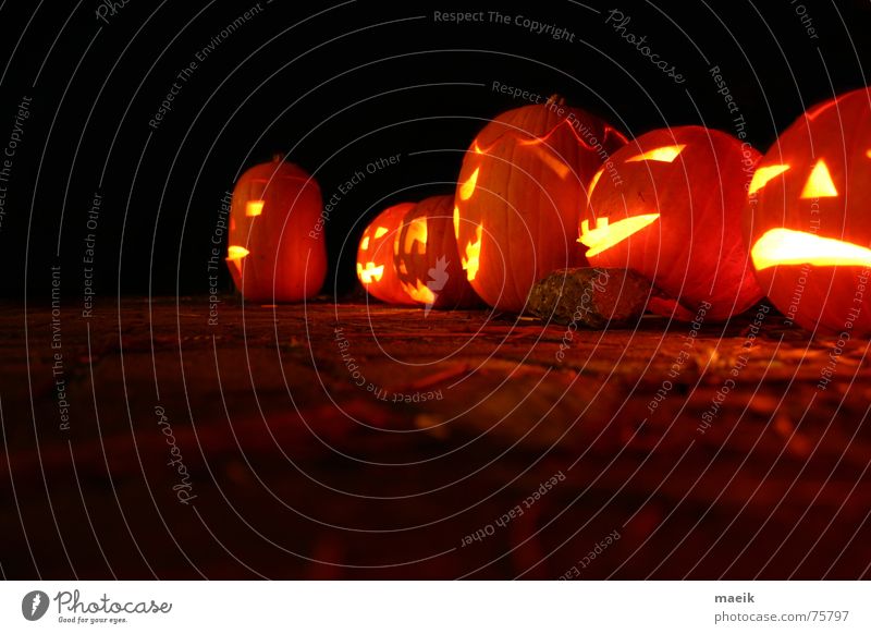 Kürbis-Köppe Halloween rot gelb ausgehöhlt Nacht schwarz Kerze gruselig ruhig Physik Nachtaufnahme Vor dunklem Hintergrund Langzeitbelichtung Licht orange