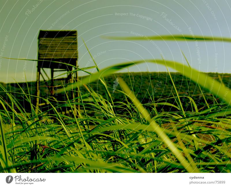 Auf zur Jagd! I Hochsitz Feld Gras Landwirtschaft Stimmung Vogelperspektive grün Sommer Ackerbau Berge u. Gebirge Landschaft Himmel Perspektive Wind wehen Erde