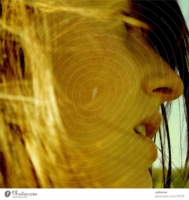 Wind-Kind Sommer Sonnenstrahlen angenehm Porträt Frau erleuchten Silhouette Wärme Haare & Frisuren wehen Landschaft Gesicht face Mensch Blick Profil