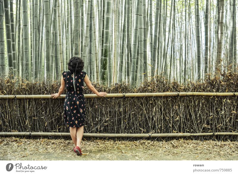 bambus Mensch feminin Junge Frau Jugendliche Erwachsene 1 Landschaft Pflanze Sträucher exotisch Bambus Bambuszaun Wald vertikal Linie Kleid Einsamkeit einzeln