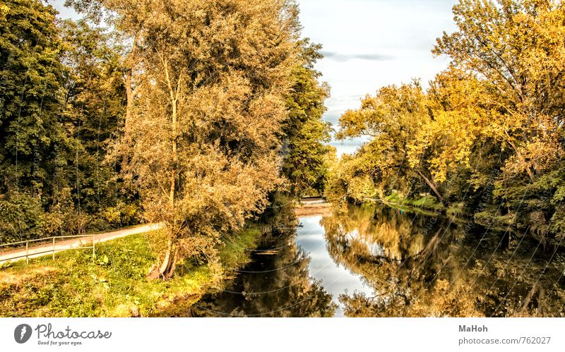 an der Nidda Natur Landschaft Pflanze Wasser Herbst Flussufer Bach Stadtrand Menschenleer atmen Bewegung entdecken gehen wandern frei Freundlichkeit
