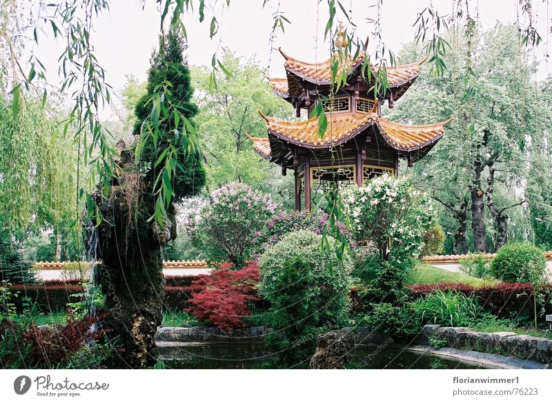 Chinesischer Garten China ruhig schön Pflanze Natur Erholung