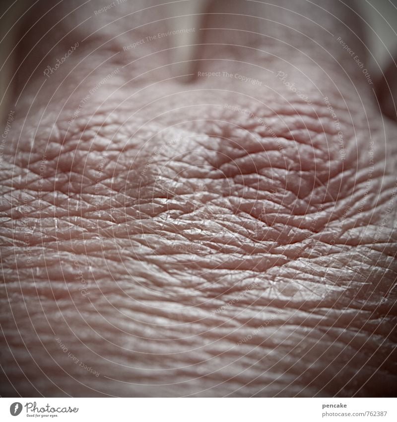 hautsache feminin Erwachsene Senior Leben Haut Hand 60 und älter Zeichen alt authentisch Gesundheit seriös trocken Gesundheitswesen Identität komplex Schutz