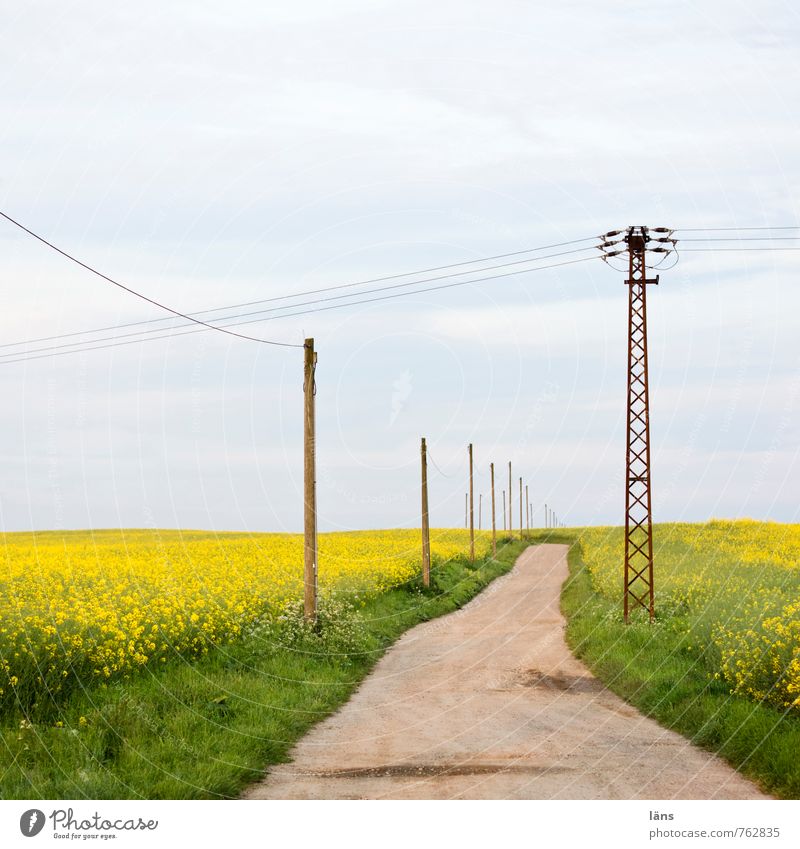 fahrt ins blaue Ausflug Energiewirtschaft Strommast Umwelt Natur Landschaft Erde Himmel Wolken Sommer Gras Rapsfeld Feld Straße Wege & Pfade gelb grün