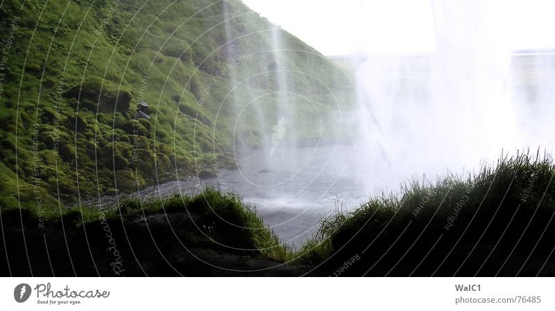 Hinter den Kulissen See Island Wiese Umweltschutz Nationalpark wandern Wasser Wasserfall spritzen Fluss gebirge natur hinten Stein Felsen Wege & Pfade